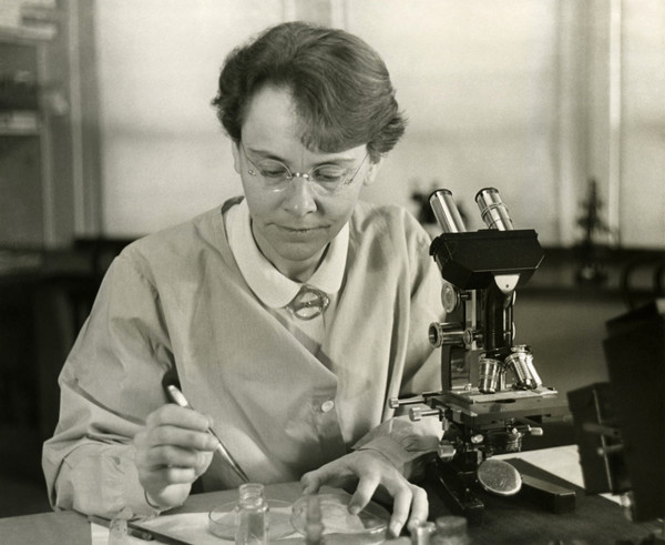 바바라 맥클린톡 (1902-1992), 뉴욕 콜드스프링하버 카네기 연구소 유전학과 실험실에 있는 맥클린톡. 사진=스미스소니언협회 아카이브