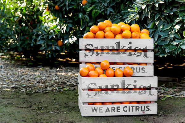 ​미국 캘리포니아주의 오렌지 농가가 함께 사용하는 공동브랜드 '썬키스트(Sunkist)'. 오렌지, 레몬, 자몽 등 감귤류 과일을 판매한다./사진제공=sunkist​