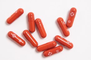 미국 제약회사인 머크가 개발한 코로나19 치료용 알약/사진=Merck사 홈페이지