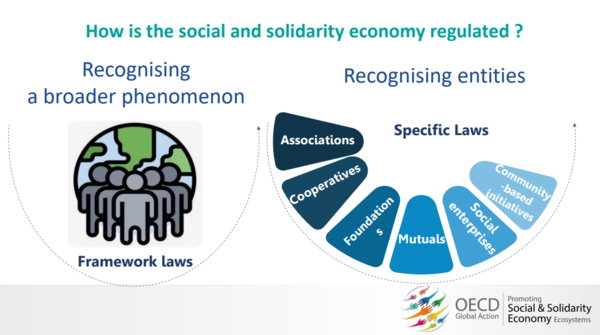 ‘효과적인 사회적경제 법체계’ 토론에서 제시한 사회연대경제 법 유형. 사회적경제 전반을 공인하는 '기본법(Framework laws)' 형태와 개별 조직을 공인하는 '개별법(Specific laws)'으로 나뉜다./출처=OECD