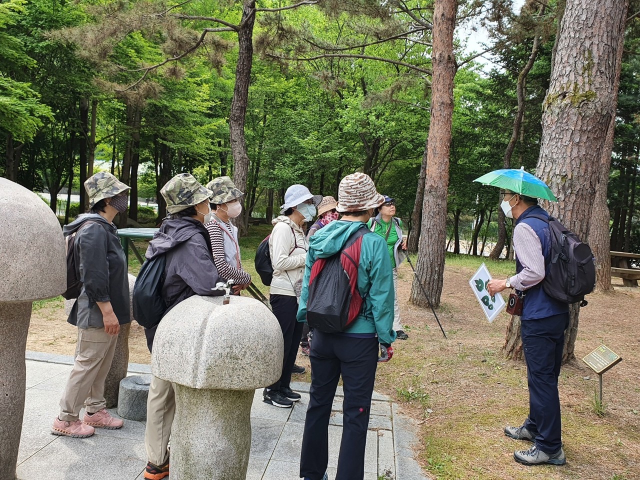 경북도산림자원개발원이 운영중인 숲해설 프로그램에 어른들이 참여해 설명을 듣고 있다. (사진=경북도 제공)