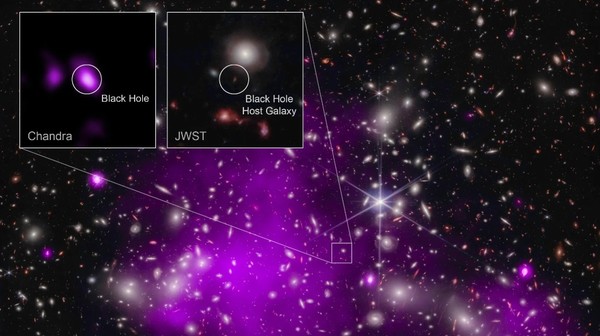 A galáxia UHZ1 e um buraco negro central foram observados usando o Telescópio Espacial James Webb e o Observatório de Raios-X Chandra.  (Imagem = NASA)