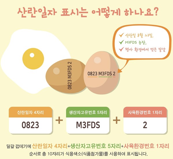 19일 식품업계에 따르면 식품의약품안전처가 2019년 시행한 달걀 껍데기 산란일자 표시제로 많은 소비자가 신선한 달걀을 구매하는데 도움을 받고 있다. (사진=식약처 제공)