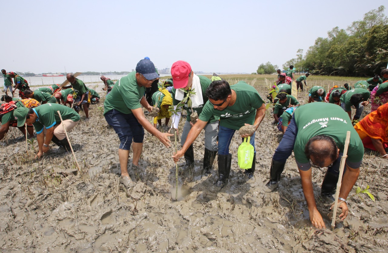 2023년 6월 환경재단 최열 이사장이 방글라데시 순다르반을 찾아 주민들과 함께 맹그로브를 심고 있다.