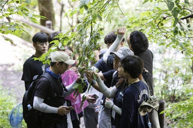나무의사 양성 과정 중 학생들이 수목 병해충 진단 실습 교육을 하고 있다. (국립안동대 제공)