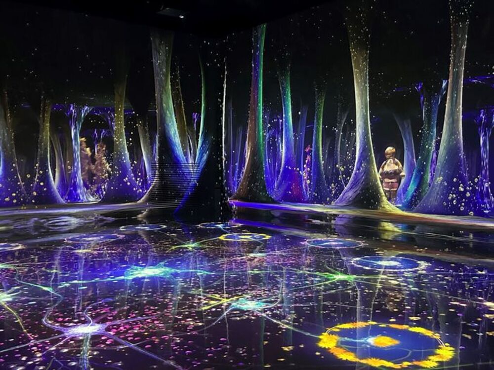 관람객의 움직임에 따라 상상 속 크리처들이 생겨나고 함께 춤출 수 있는 '이매진 (Imagine)' / 사진 = 인스파이어 제공