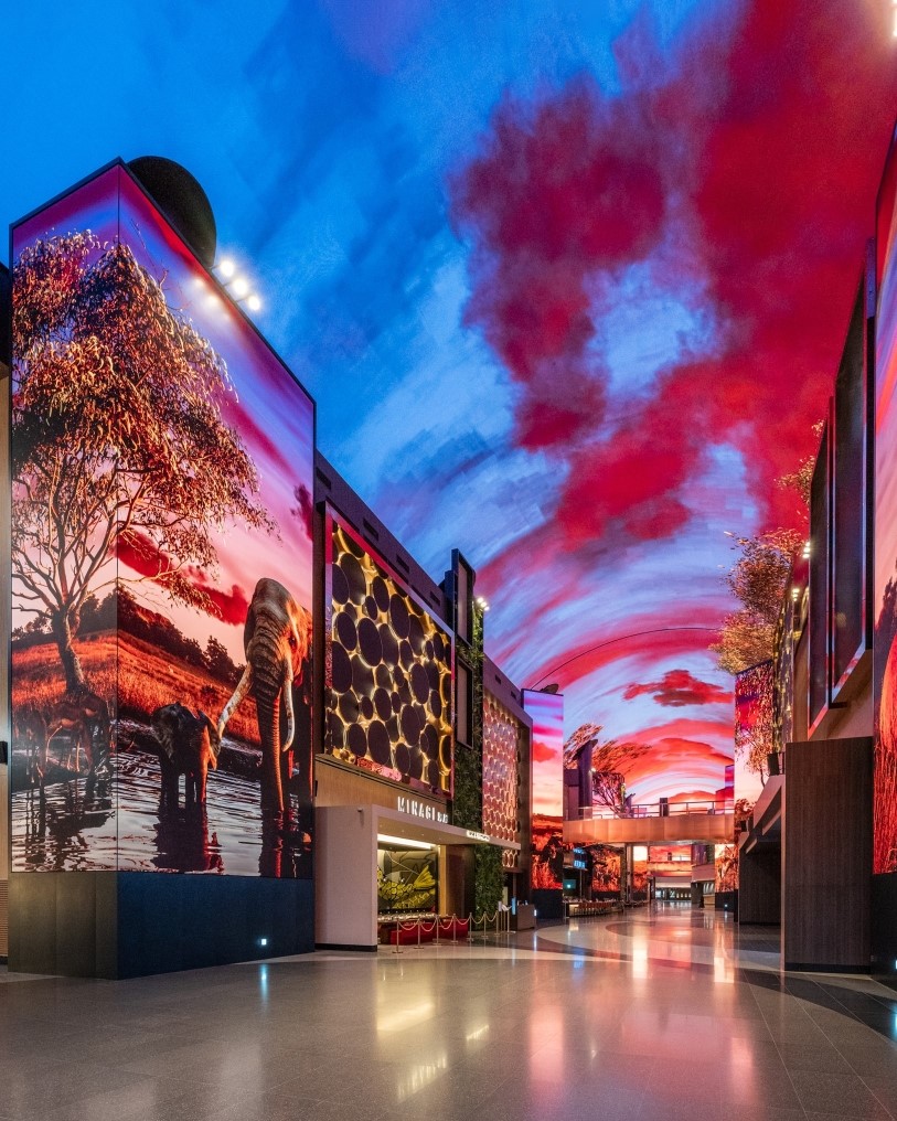  7월 1일 공개되는 오로라의 새로운 아트 콘텐츠 ‘아프리칸 사바나’의 티저 이미지 / 사진 = 모히건 인스파이어 제공