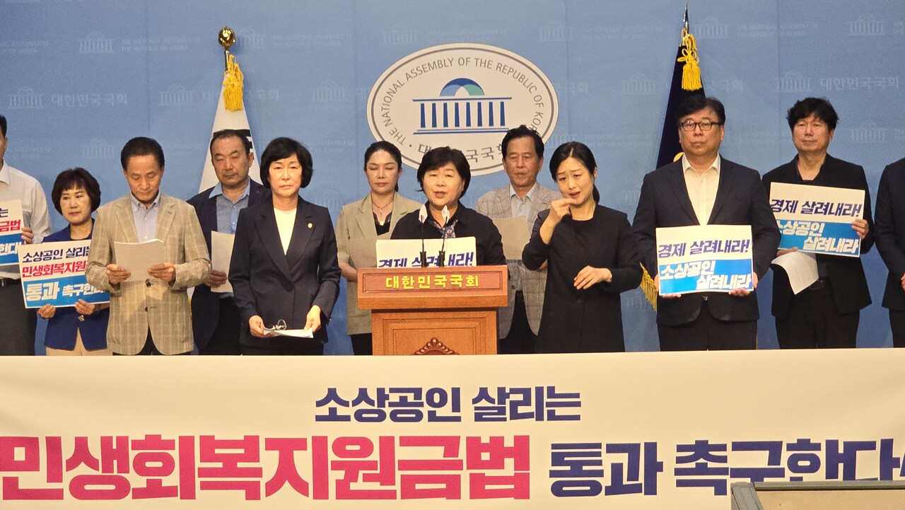 서영교 더불어민주당 의원은 2일 국회 소통관서 민생회복지원금 통과 촉구 기자회견을 개최했다. 2024.08.02/사진=조은결 기자