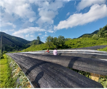 /사진 제공= 아시아의친구들