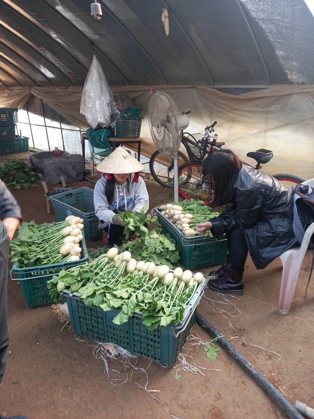 리버리 (연세대 사회복지학 4) 씨가 베트남 노동자의 이야기를  듣고 있다. /사진제공=아시아의친구들