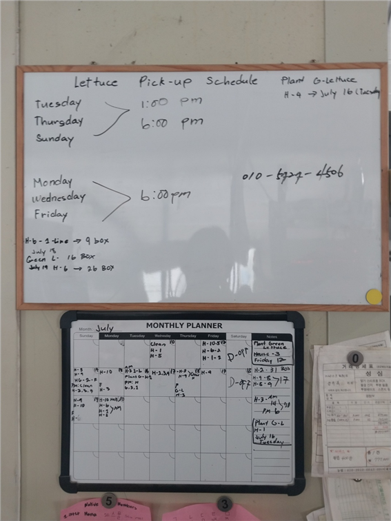농가에서 일하는 노동자들이 적어 놓은 배추 수확 스케줄 ./사진제공=아시아의친구들