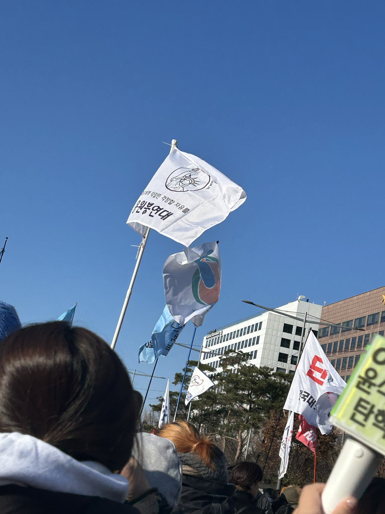 7일 서울 여의도 국회 일대에서 열린 '윤석열 즉각 탄핵! 즉각 구속! 촛불문화제'에서 펄럭이는 '응원봉 연대' 깃발 2024.12.07/사진=독자 제공