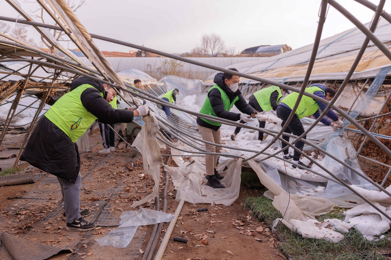 이석용 NH농협은행장, 경기도 폭설 피해농가 찾아 복구 활동 실시 < 경제/산업 < 기사본문 - 이로운넷