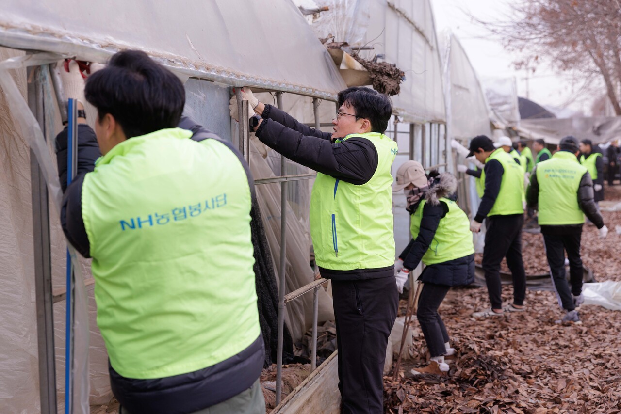 이석용 NH농협은행장, 경기도 폭설 피해농가 찾아 복구 활동 실시 < 경제/산업 < 기사본문 - 이로운넷