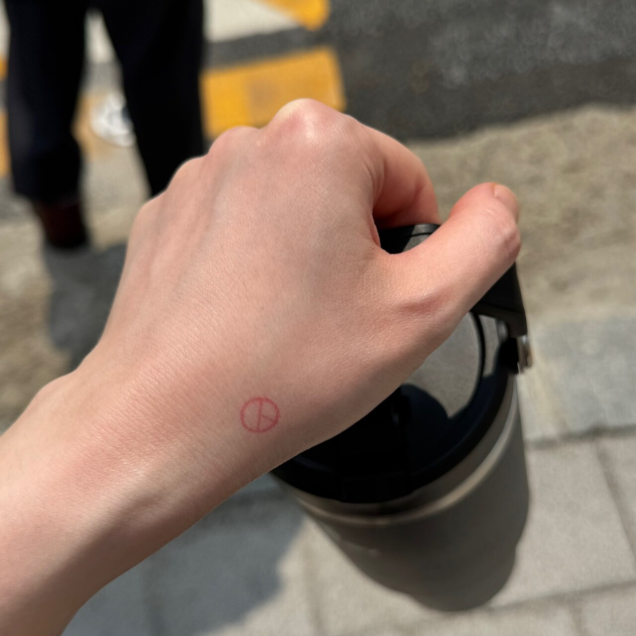 6·3 대선을 앞두고 시작된 사전투표 첫날인 29일 한 유권자의 투표 인증 사진 2025.05.29/사진=독자 제공