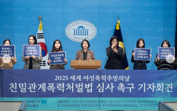 24일 서울 국회에서 열린 가정폭력처벌법 심사 촉구 기자회견에서 용혜인 기본소득당 대표가 발언하고 있다. /사진=용혜인 의원 페이스북