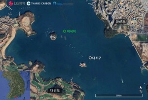 LG화학·땡스카본 "잘피 서식지 복원, 탄소흡수와 해양생태 복원 효과 확... - 뉴스 썸네일 이미지