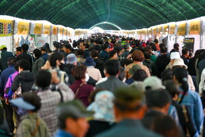 2026 Yeongju Punggi Ginseng Festival